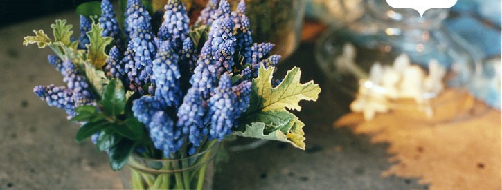 [img_press_1-flowers-claire-marie4.jpg]