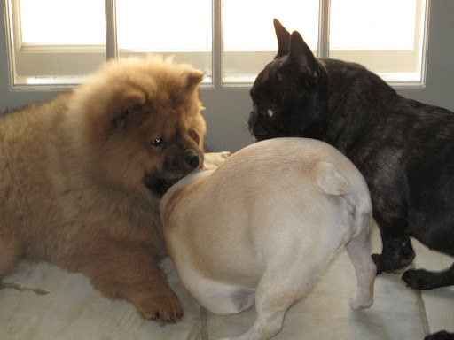 Franny, back off - I've got the situation under control.