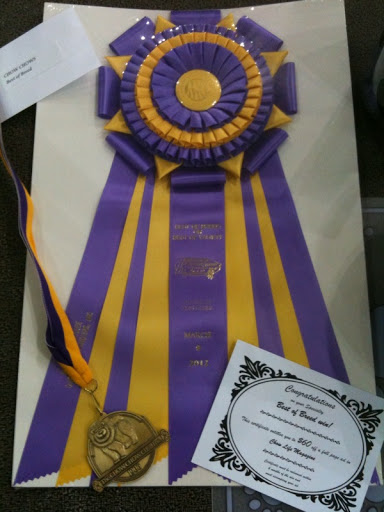 I competed against fifteen other Chow Chows and I won the Middle Tennessee Chow Chow Fanciers Specialty! I competed against fifteen other Chow Chows and I won the Middle Tennessee Chow Chow Fanciers Specialty!