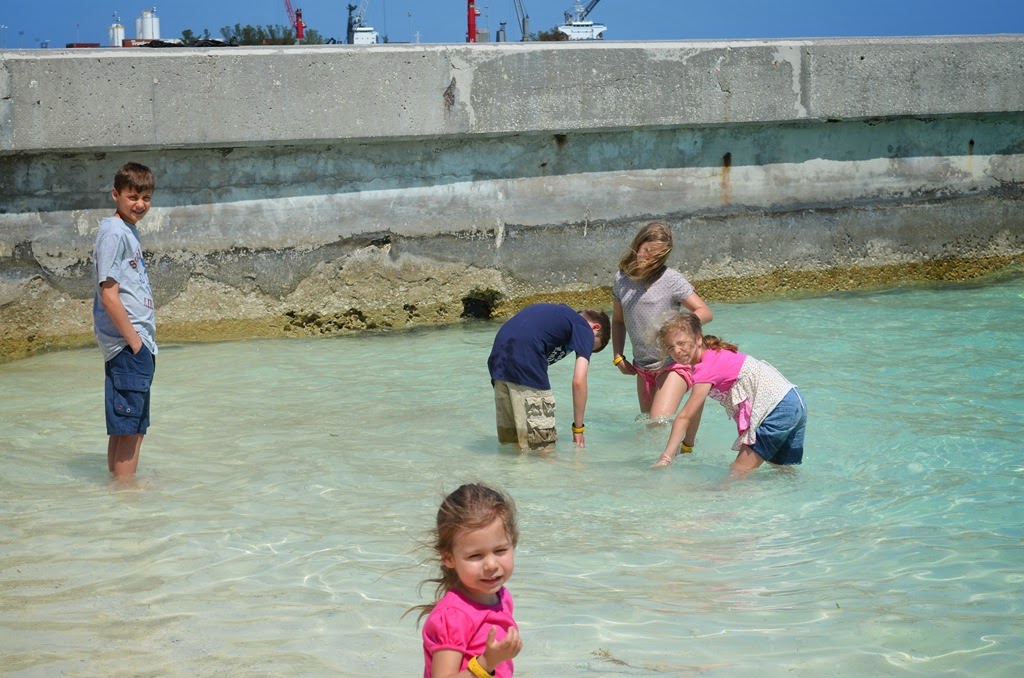 [DSC_7641%255B4%255D.jpg]