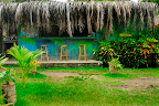 Surf House El Zonte - bar