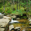 Forêt bavaroise - Bodenmais - Riesloch