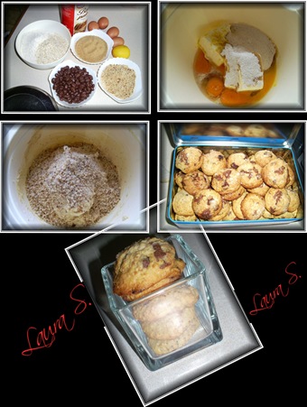 [biscuiti%2520cu%2520ciocolata%255B4%255D.jpg]