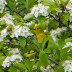 P1290438