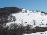 P1015549.JPG