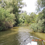 DSCN7171.JPG
