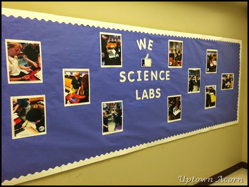 we like labs
