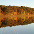 ACPL Scenery 16.JPG