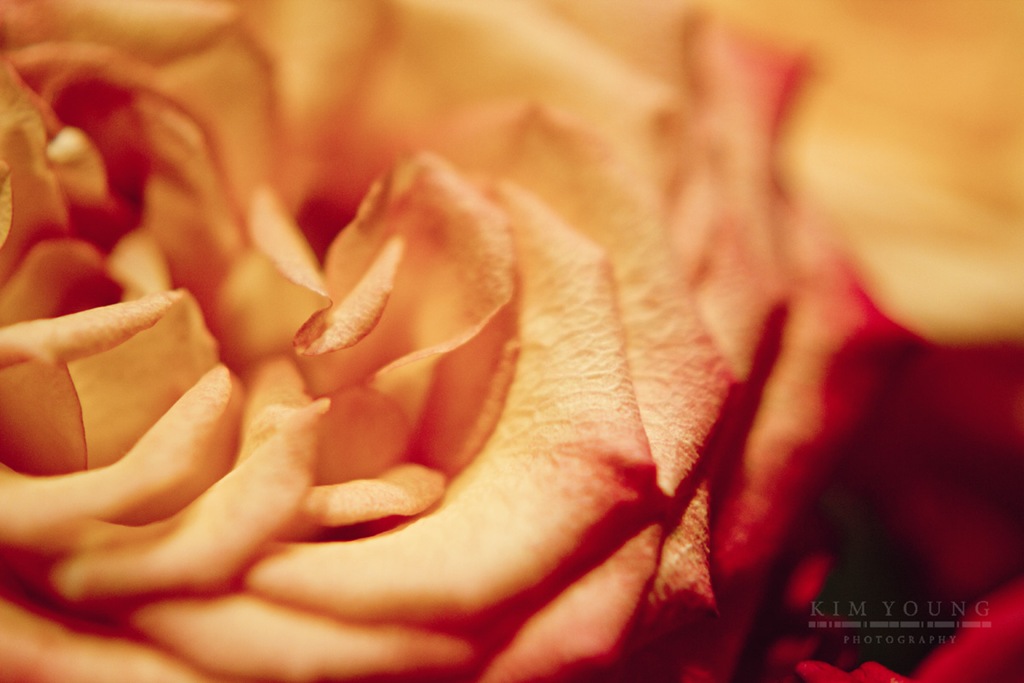 [IMG_2999%2520wtrmk%255B4%255D.jpg]