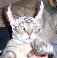 [tinfoil%2520%25281%2529%255B2%255D.jpg]