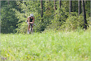 Roth_2010_190.jpg