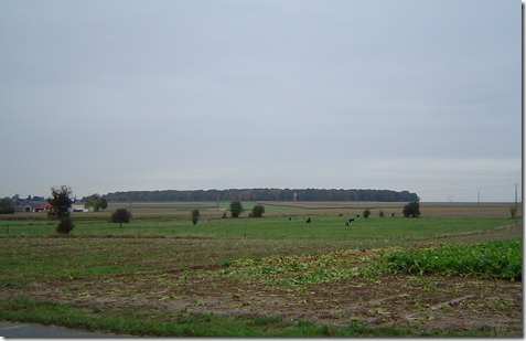 Le bois de Longueval vu depuis le monument o sont inhums les cousins Duflanc Ginchy Le bois de Longueval vu depuis le monument o sont inhums les cousins Duflanc Ginchy