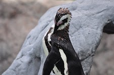 DSC_0011.JPG