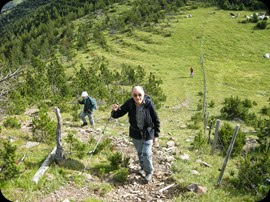 Colla dels Bufets d'Olot