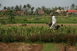 Hoi An, Vietnam 061.JPG