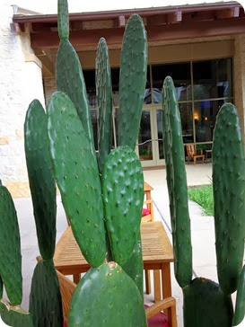 San Antonio-28