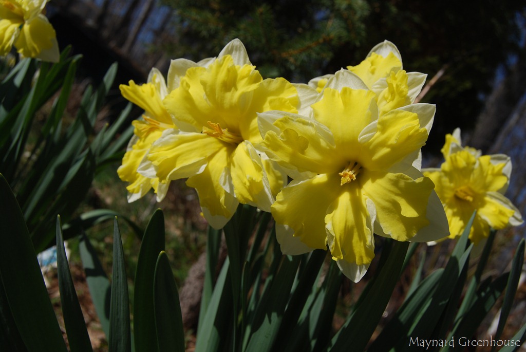 [Easter_352010%2520at%2520home%255B18%255D.jpg]