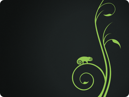 opensuse_Plymouth opensuse_Plymouth