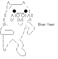 Boar Year