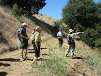 IMG_8988.JPG Photo