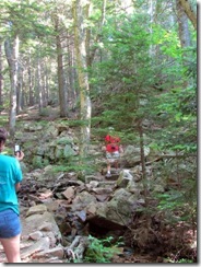 Rock steps on the trail