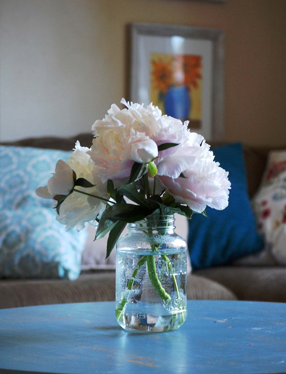 [peonies%255B3%255D.jpg]