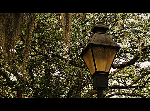 Lampost in Savannah