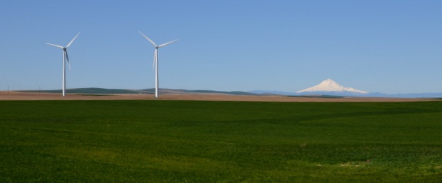 [DSC_0005%255B4%255D.jpg]