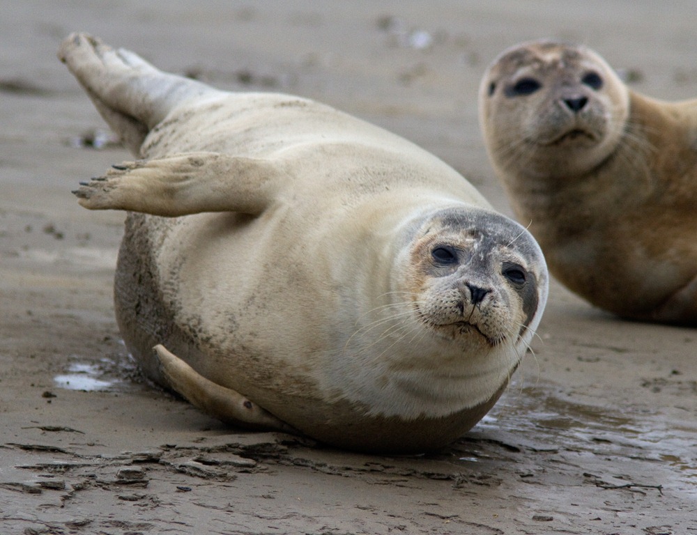 [12_02_04_sandwich_commonseal157%255B4%255D.jpg]