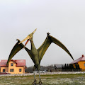 pteranodon.jpg