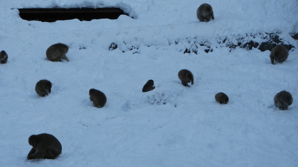 [IMG_4250%255B3%255D.jpg]