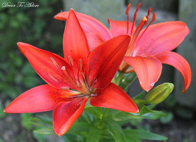 [Summer%2520Vacation%25202013%2520790%255B7%255D.jpg]