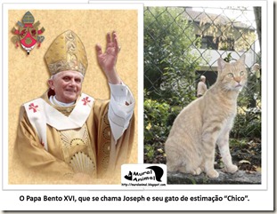papa_ama_gatos (5) papa_ama_gatos (5)