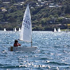 IMG_3124.jpg