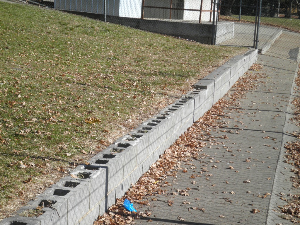 [P5310006%255B5%255D.jpg]