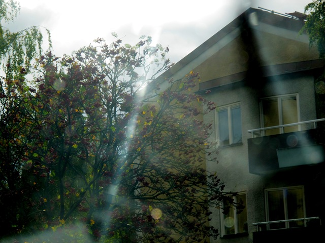 [IMG_8429%255B1%255D.jpg]