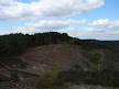 I think this is clearance to return land to scrub - as it was pre-war