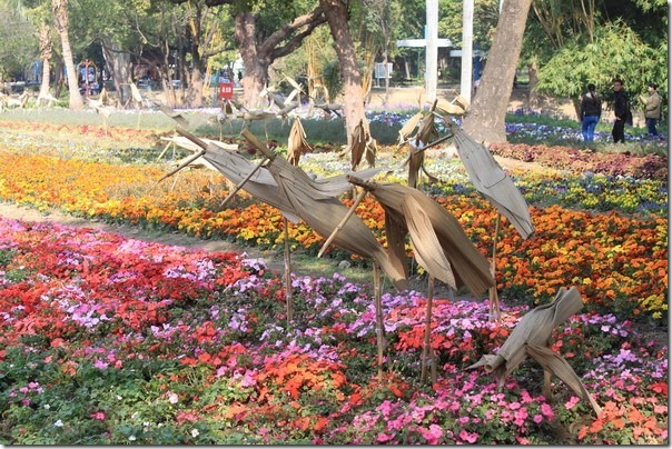 台南公園-2012百花祭