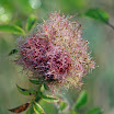 IMG_8126-1_edited-1.jpg