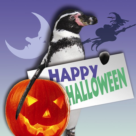 [Facebook%2520Devilish%2520Dippy%25203%255B7%255D.jpg]