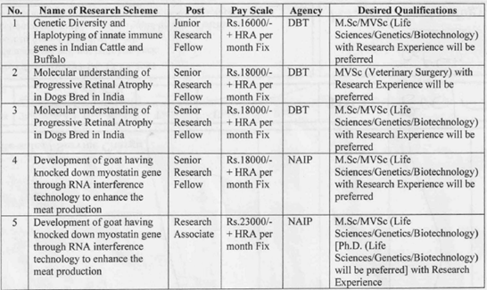 AAU Anand Invites JRFs/SRFs @ Department of Animal Biotech