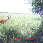 MDGC0209.JPG