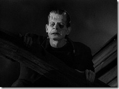 Frankenstein The Monster Cornered