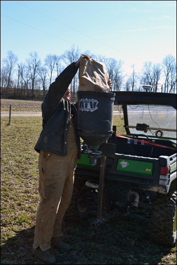 load clover seed