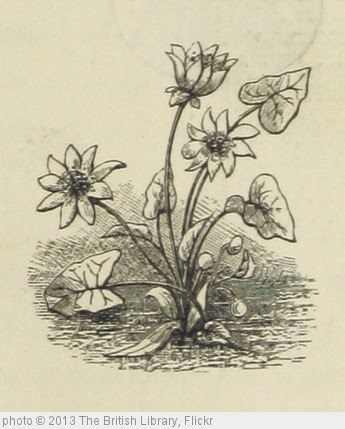 'Image taken from page 9 of 'The poetical works of William Wordsworth. Edited by William Knight'' photo (c) 2013, The British Library - license: http://www.flickr.com/commons/usage/