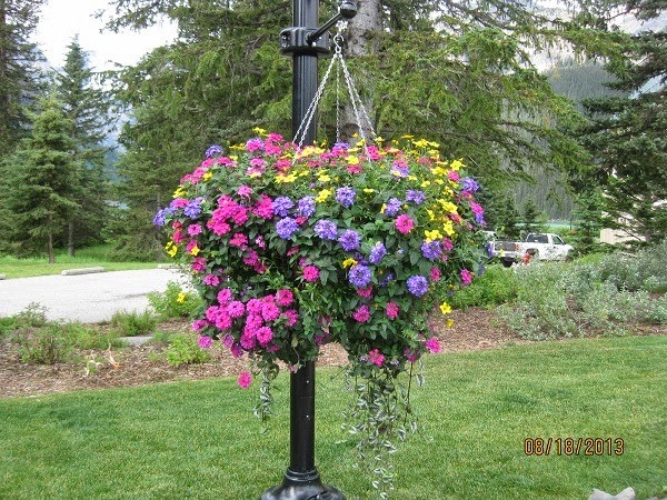 [Pretty-Flowers-baskets-at-Lake-Louis%255B1%255D.jpg]