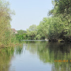 IMG_7694.JPG