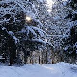 2012 - Huberspitz