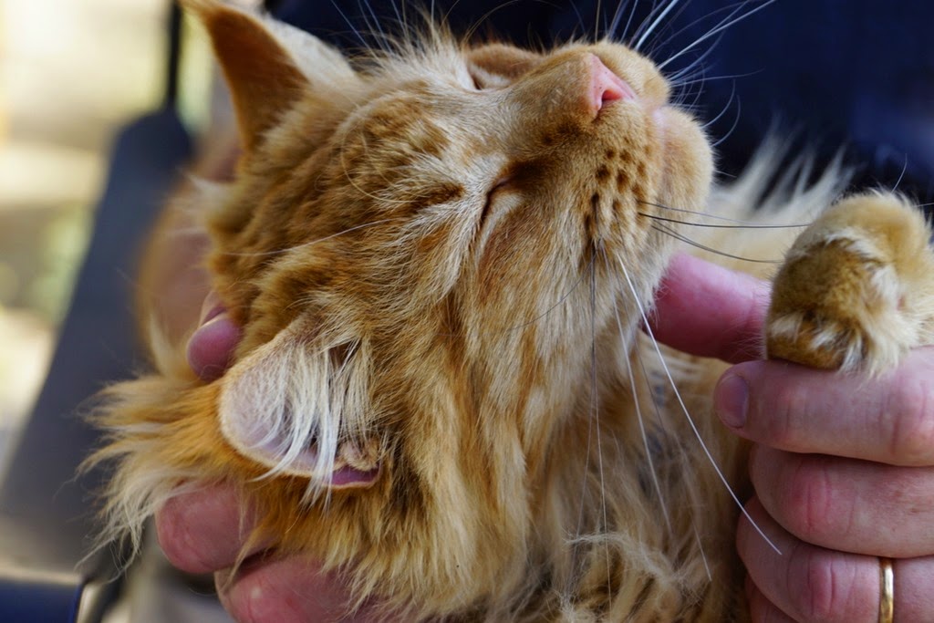 [DSC03073%255B3%255D.jpg]