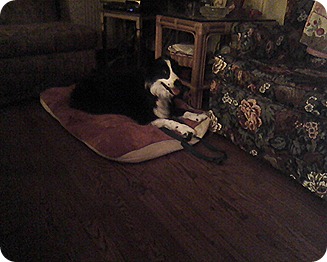 Photo11252155 Photo11252155